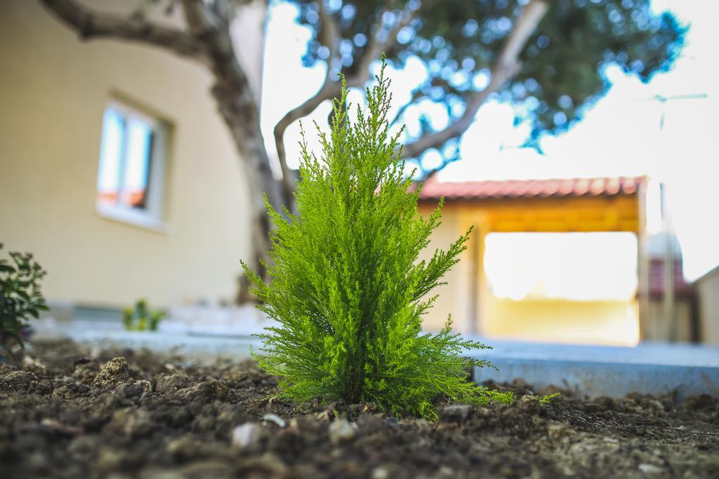 Apartments Sesar Banjol Εξωτερικό φωτογραφία